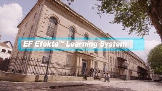 EF Method Learning System  How I learned with EF [upl. by Annodas376]