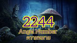 2244 Angel number เลขนางฟ้า มีความหมายอะไรจักรวาลมาบอกอะไรคุณกฏจักรวาลกฏ ครูซันนี่england [upl. by Welby]