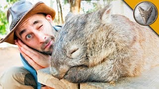 DONT WAKE the WOMBAT [upl. by Hike239]