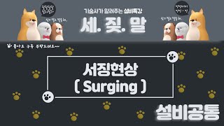 반송설비 서징현상Surging 맥동현상 [upl. by Aiderfla206]