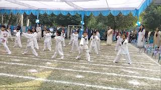 Taekwondo DemonstrationSports day in Kislaya school IIT kanpur 1237 [upl. by Nadine]