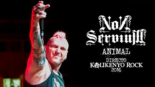 Non Servium  Animal Directo Kalikenyo Rock XI 2016  El Resurgir [upl. by Rutledge]