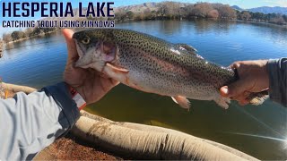 Hesperia Lake Catching Trout Using Minnows [upl. by Roswald]