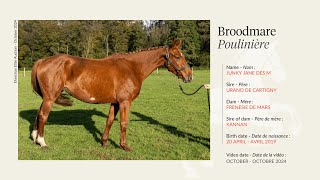 Lot 6  Broodmare Junky Jane des M by Urano de Cartigny [upl. by Guzel]