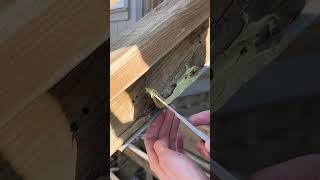 Quick Repair for Exterior Wood Rot 🪵 Bondo Wood Filler [upl. by Corey]