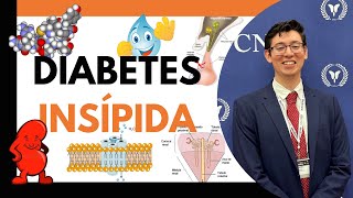 Hormona antidiurética diabetes insípida y polidipsia primaria pt 1 Fisiología Fisiopatología💧🥵 [upl. by Wobniar502]