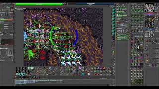 Tibia War Lobera  Ancorverunt Megamaximus 1135 ED Gold Tokens [upl. by Breana]