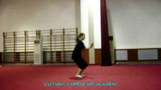 HUA QUAN  Traditional Wushu [upl. by Earized]