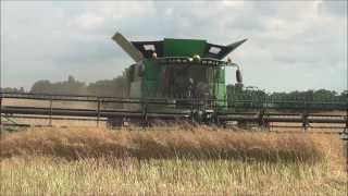 Direct Cut Winter Canola Harvest Hopkinsville KY [upl. by Ainslee]