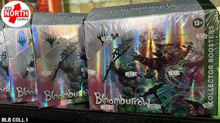 Our First Look BLOOMBURROW Collector Boxes 5 Box Opening [upl. by Corwun]