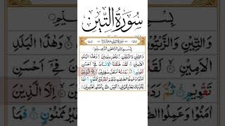 Surah At Tin Beautiful recitationquranrecitationshortsfeed [upl. by Kirsten]