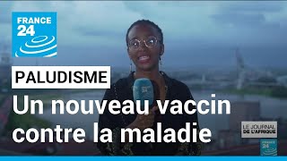 Paludisme  un vaccin développé par des scientifiques de lUniversité dOxford suscite lespoir [upl. by Carissa]