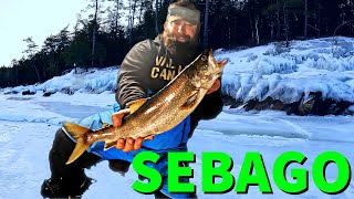 SEBAGO LAKE Trout Jigging Super deep DAY 3 [upl. by Iolanthe139]