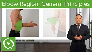 Elbow Region General Principles – Osteopathic Manipulative Medicine OMM  Lecturio [upl. by Ethelin239]