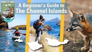 A Beginners Guide to the Channel Islands National Park 🌊🍃🦊 [upl. by Leugimesoj]