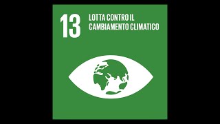 LOTTA CONTRO IL CAMBIAMENTO CLIMATICO SDGS Studenti obiettivo 13 [upl. by Gilemette]