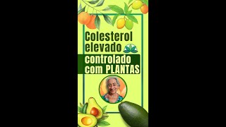 Colesterol elevado Veja como ela controlou COM PLANTAS [upl. by Eelymmij]