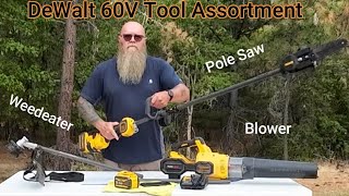 60V DeWalt tool assortment thoughts [upl. by Hope]