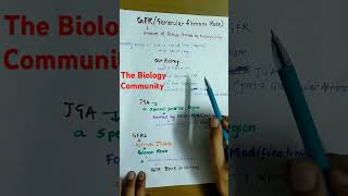 URINE FORMATION PART2 class11excretoryproductsamptheireliminationneetcbsehumanphysiologyshorts [upl. by Aerdnas]