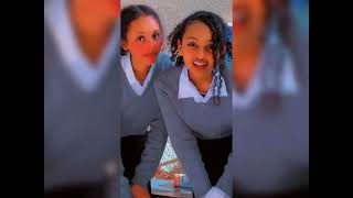 Tik Tok Ethiopian Funny Videos Compilation Tik Tok Habesha Funny Best Video compilation part 2 [upl. by Utir471]