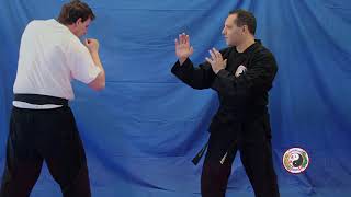 Kempo Karate  Combination 12 [upl. by Levania]