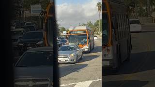 LACMTA 2019 ENC Axess BRT CNG 1533 [upl. by Marja]