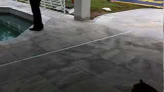 Call today 727 678 4500 HOW TO LAY TRAVERTINE PAVERS AROUND THE POOL DECK [upl. by Elrem]