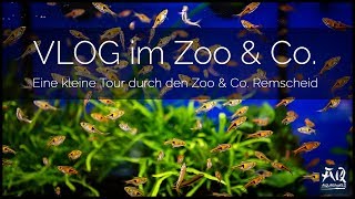 AquaOwner besucht Zoo amp Co Remscheid  AquaOwner [upl. by Klusek]