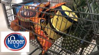 Quick Kroger haul  Shopping Sale Items [upl. by Noryk410]