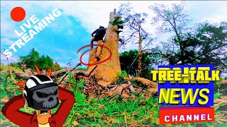 Tree Talk episode 18 ‼EASY‼ DIY RETRIEVABLE FRICTION SAVER [upl. by Flossie]