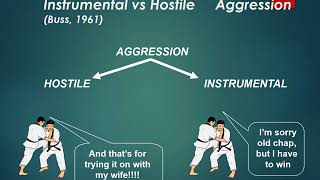 Aggression definitions and theories [upl. by Esyla389]