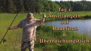 Ansitzangeln auf Raubfisch  Tag 4  Aal  Barsch  Hecht  Zander  Vlog  Güster [upl. by Hollyanne]