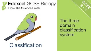 Edexcel GCSE Science and Biology  Classification [upl. by Gnilrets518]