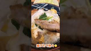 【東京新地図】皇居あたりでかつ丼を【千代田区】 [upl. by Youlton]