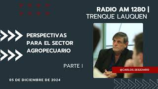 Radio AM1280 Trenque Lauquen  PERSPECTIVAS PARA EL SECTOR AGROPECUARIO ARGENTINO PARTE I [upl. by Lleoj]