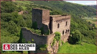 Château de Seyssuel symbole dun Rhônefrontière [upl. by Cynarra]