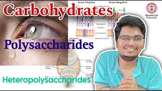 Carbohydrates  Polysaccharides  Heteropolysaccharides [upl. by Trinatte481]