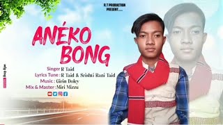 Anéko Bong new Mising song [upl. by Clarance]