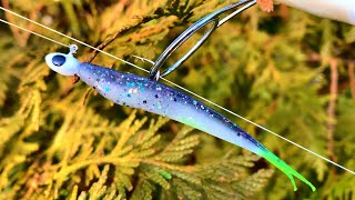 This Lure Works Like Magic Easy Way To Catch Sauger For Dinner Catch Clean Cook [upl. by Noside795]