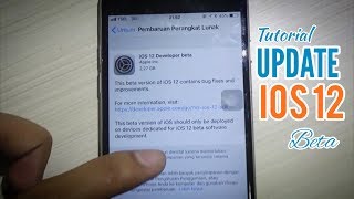 Cara update IOS 12 Developer BETA [upl. by Maharg]