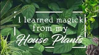 I learned magick from my house plant [upl. by Durham]