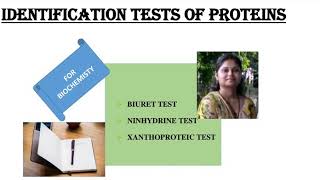 Identification tests for proteinsBiuret testNinhydrin testXanthoproteic testShiv Bhadra Singh [upl. by Adnir864]