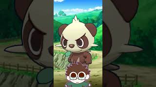 Could I beat these Pokémon in a fight  Pancham Pangoro [upl. by Hinson178]