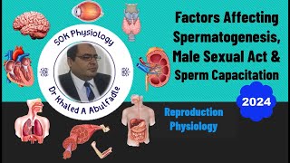 Factors Affecting Spermatogenesis amp Male Sexual Act 102024 by Dr Khaled A Abulfadle [upl. by Yniatirb868]