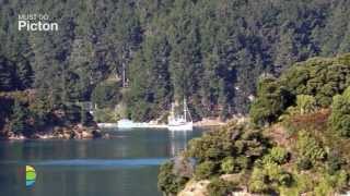 Marlborough Sounds things to see and do in Picton cruise the Sound walk Queen Charlotte Track [upl. by Idhem]