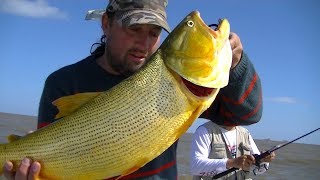 TV Nº301 08122017 Pesca en Berisso Rio de la Plata [upl. by Garzon174]