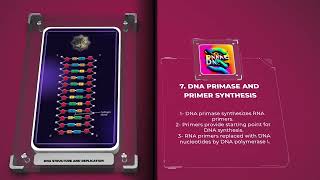 Molecular Biology  DNA Structure and Replication [upl. by Akiret]