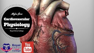 Cardiac conduction pathway SA node AV node Bundle of his Purkinje fibres [upl. by Aremmat]