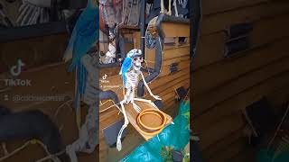 Hice un Barco pirata con cartón y nadie me creia halloween pirates shorts [upl. by Garretson]