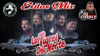 TIGRES DEL NORTE VIEJITAS PERO BUENAS MIX [upl. by Laumas883]